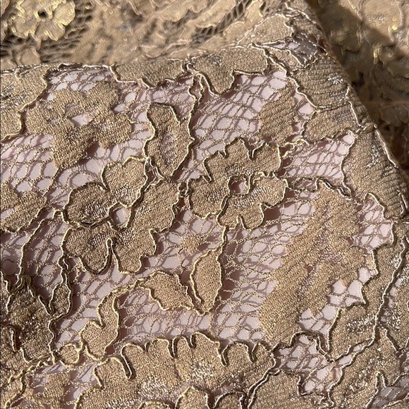 NWT Boden Elegant Lace Tan Skirt, size 2. - Picture 4 of 9